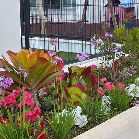 Jardin Primera Linea De Playa Appartamento